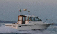 Bayliner Trophy